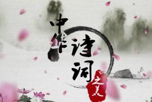 深秋的告白：在绚烂与静美中感悟人生